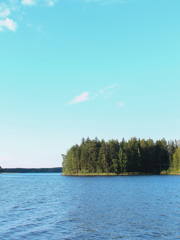 Free stock photo of forest, lake, landscape
