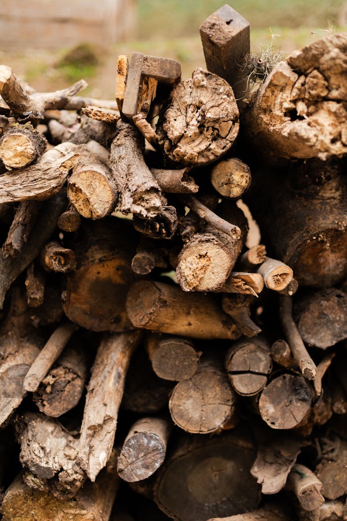 Close-up of stacked firewood logs, showcasing natural textures and earthy tones outdoors.