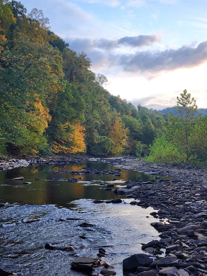 Free stock photo of river