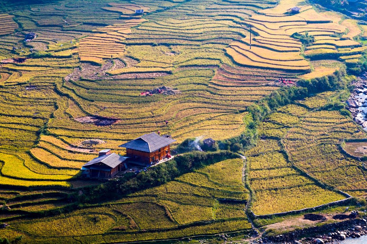 Breathtaking aerial shot capturing layered rice terraces and rural houses in Vietnam.